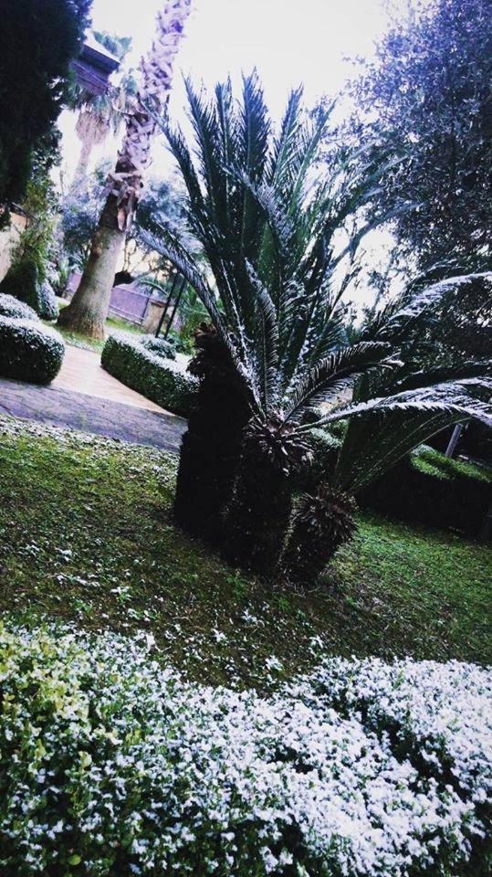 Agriturismo Terre Delle Monache Pontecagnano Exterior foto